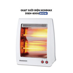 Quạt sưởi điện cao cấp Hommax DSEH-800Q