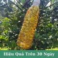 Chai keo chuyên dùng xịt bẫy ruồi vàng dung tích 750ml