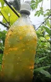 Đinh Văn Sơn
