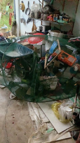 Tiến Đạt
