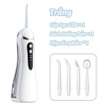 Máy tăm nước cầm tay không dây 3 chế độ điều chỉnh tiện lợi, Màu đen