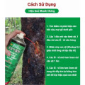Dung dịch xịt diệt ấu trùng sâu đục thân bảo vệ cây trồng hiệu quả