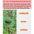 Dung dịch xịt diệt ấu trùng sâu đục thân bảo vệ cây trồng hiệu quả