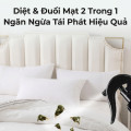 Combo 2 bình xịt ve bọ rệp đa năng phun sương hỗ trợ làm sạch không gian sống