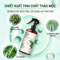 Combo 2 bình xịt ve bọ rệp đa năng phun sương hỗ trợ làm sạch không gian sống