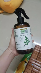 Trúc Anh