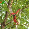 Kéo cắt cành trên cao kèm lưỡi cưa chuyên dụng