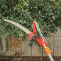 Kéo cắt cành trên cao kèm lưỡi cưa chuyên dụng
