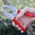 Kéo khoanh vỏ chiết cành kép lưỡi rộng điều chỉnh tiện dụng