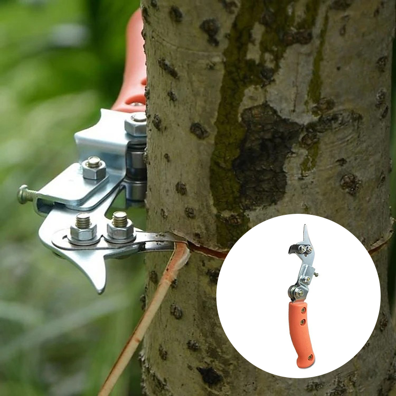 Dụng cụ khoanh vỏ chiết cành 1 lưỡi chuyên dụng