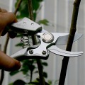 Kéo cắt cành cộng lực lưỡi thép SK5 siêu bền