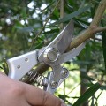 Kéo cắt cành cộng lực lưỡi thép SK5 siêu bền