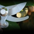 Kéo cắt cành cộng lực lưỡi thép SK5 siêu bền