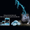 Viên diệt chuột thông minh thế hệ mới