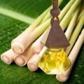 Tinh dầu thơm treo xe ô tô, treo phòng hương sả chanh, quế, bạc hà
