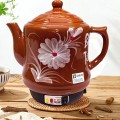 Ấm sắc thuốc điện tự động tự ngắt tiện dụng