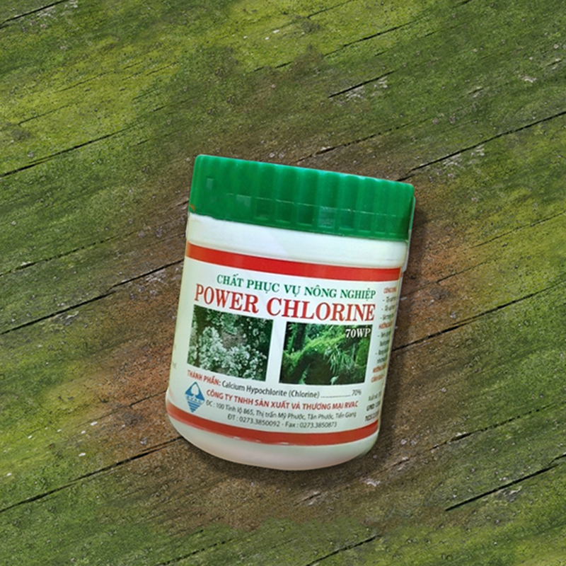 Bột tẩy rong rêu, nấm mốc tiện lợi