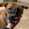 Rọ mõm chó thép không gỉ khóa nới linh động độ bền cao