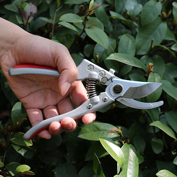 Kéo cắt cành sắc bén làm vườn chuyên dụng
