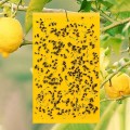 Set 20 miếng dán treo bẫy ruồi, côn trùng an toàn hiệu quả