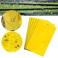 Set 20 miếng dán treo bẫy ruồi, côn trùng an toàn hiệu quả