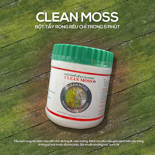 Bột tẩy rong rêu, nấm mốc Clean Moss